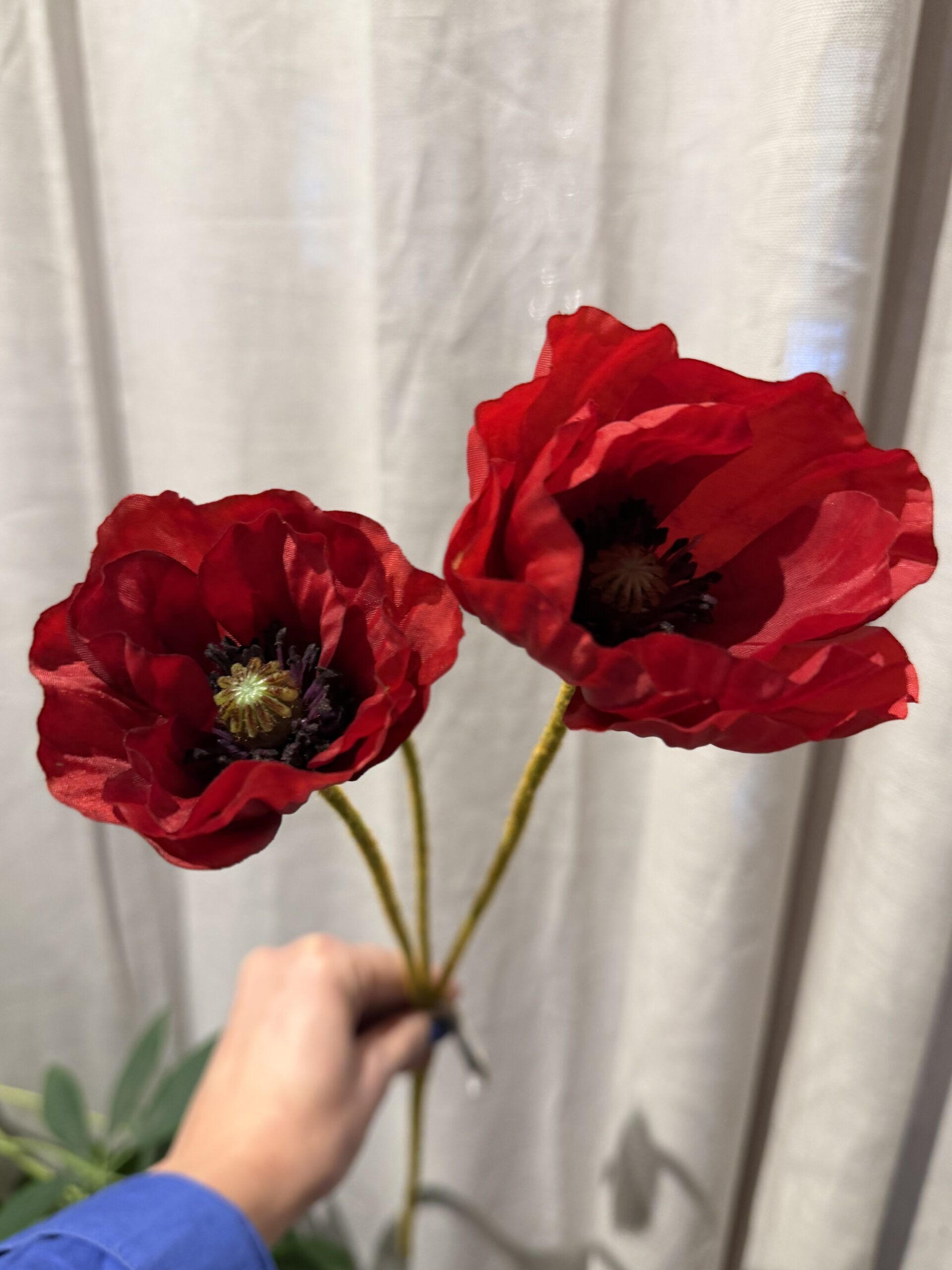 Vallmo röd 75 cm - Bild 2