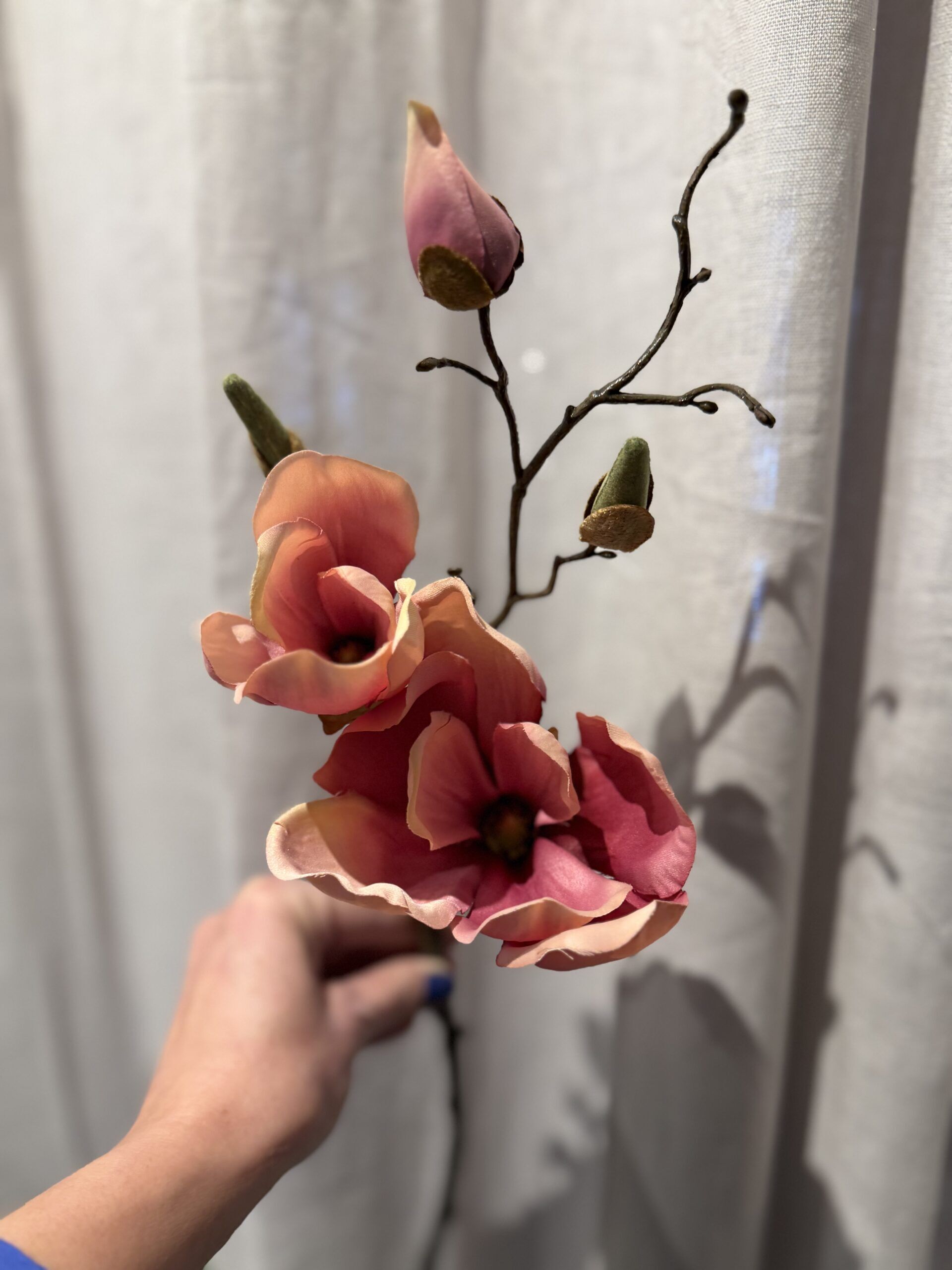 Magnolia vinröd 45 cm