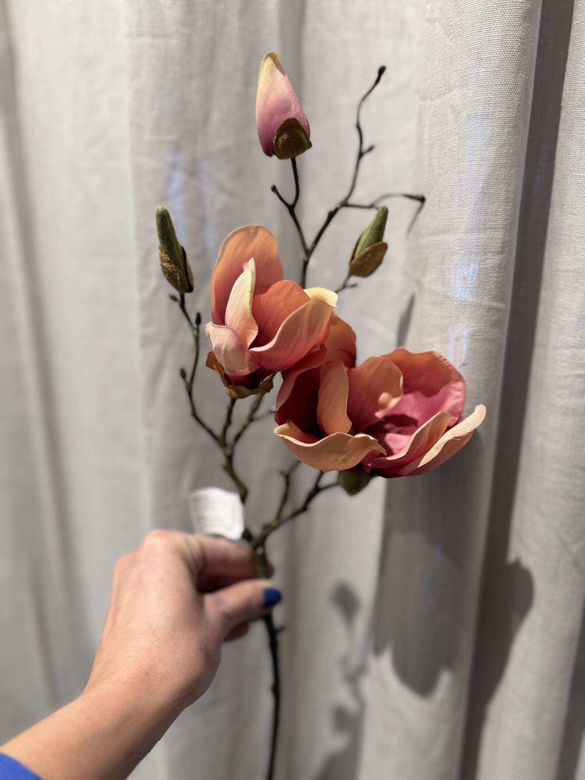 Magnolia vinröd 45 cm