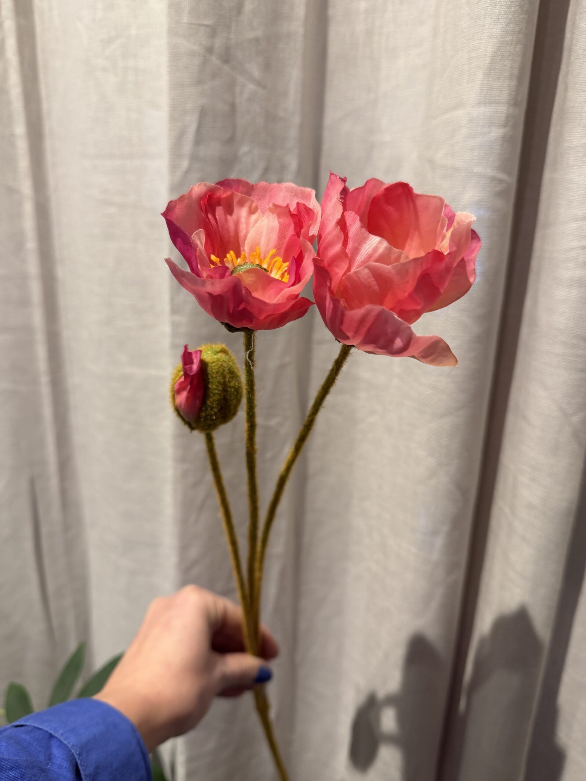 Vallmo rosa 75 cm