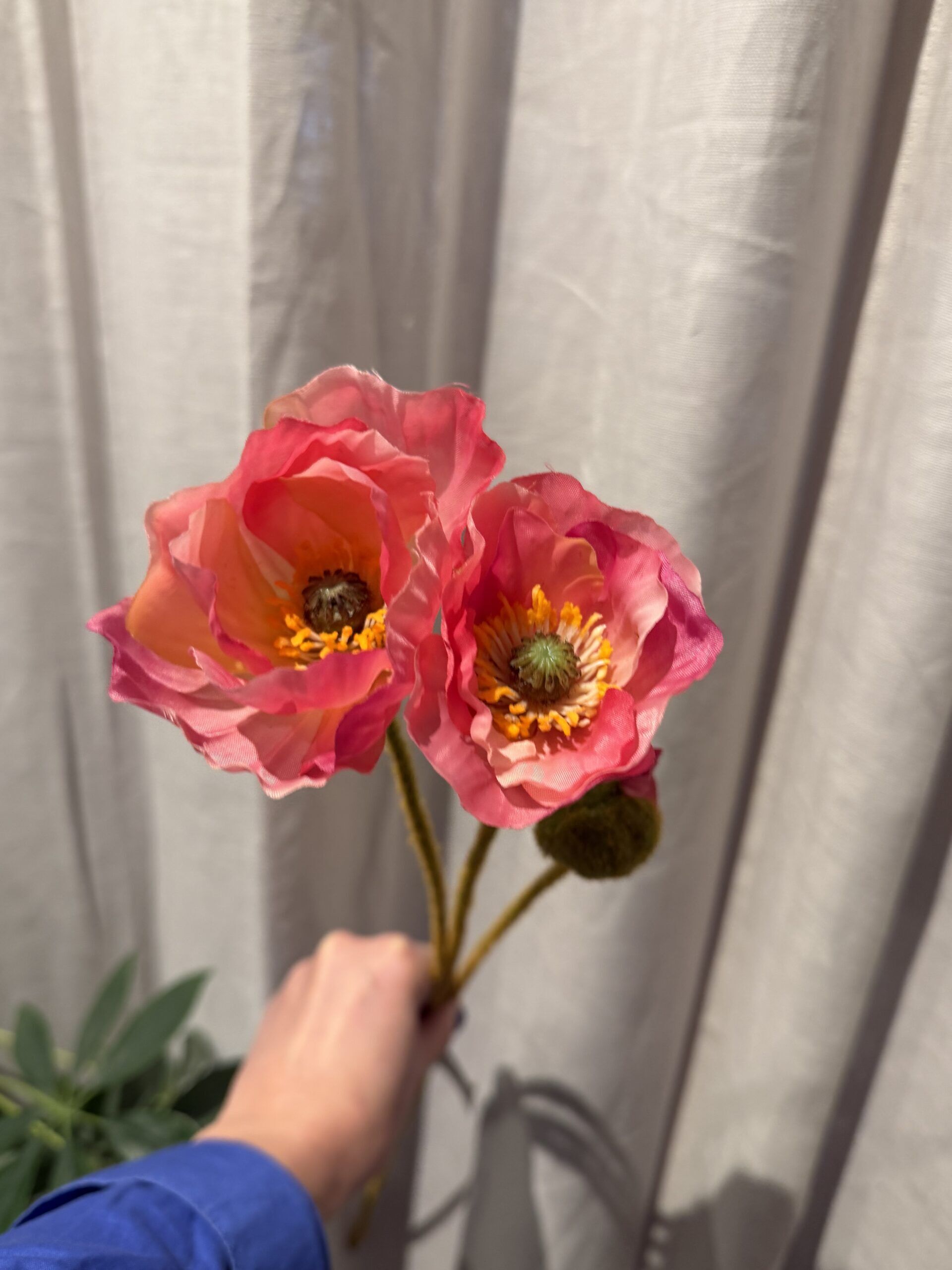 Vallmo rosa 75 cm