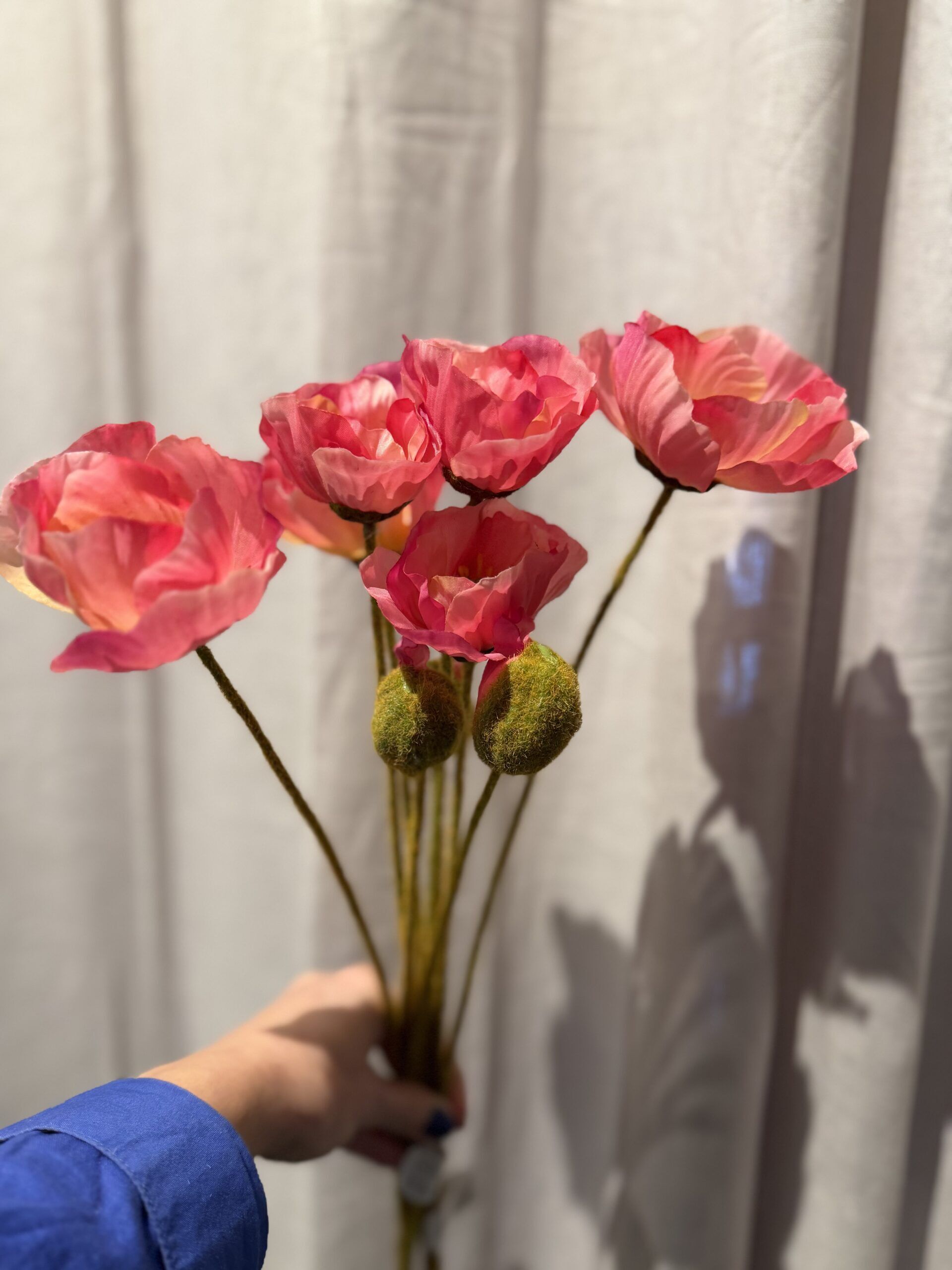 Vallmo rosa 75 cm
