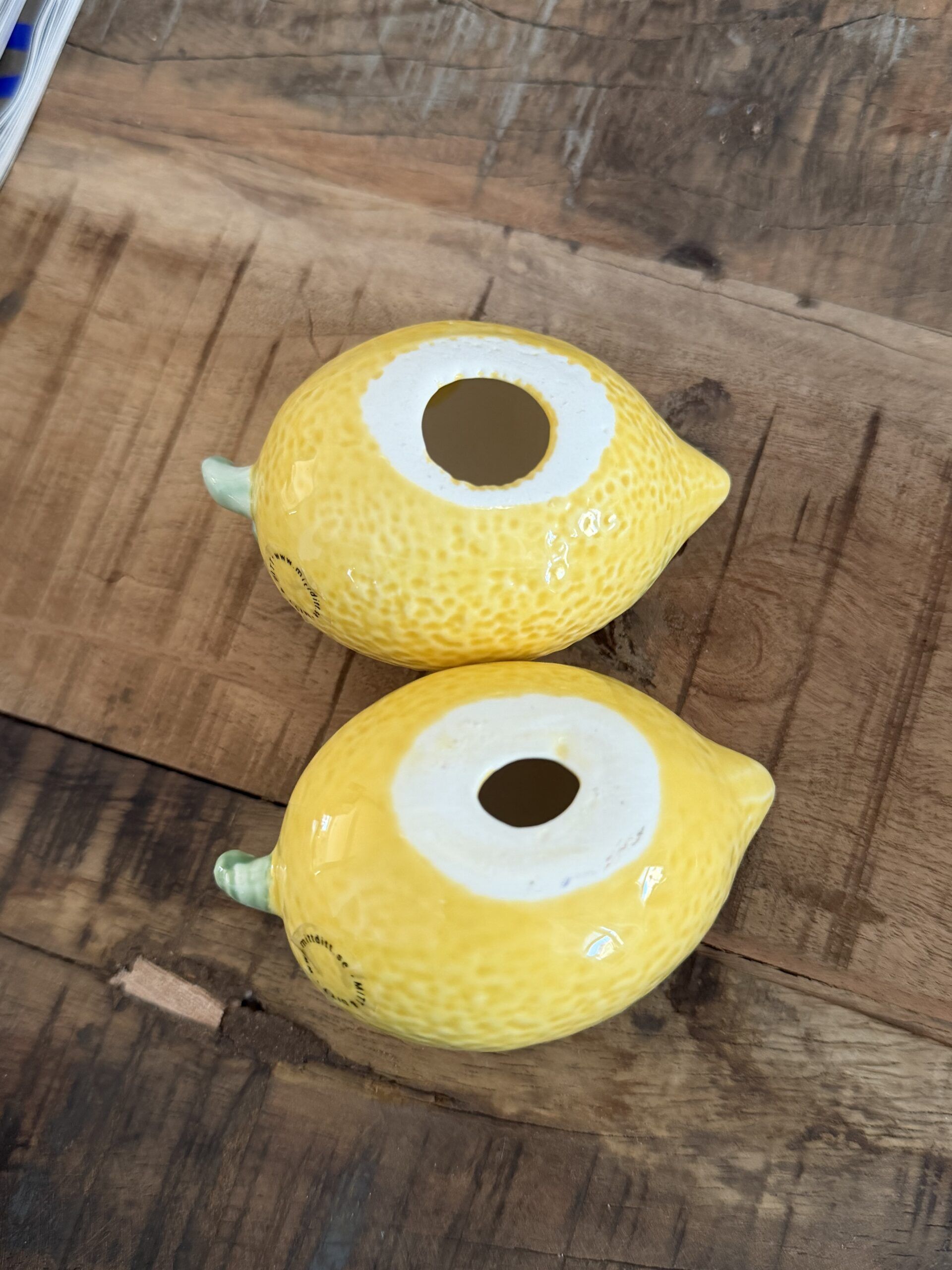 Citron undersida